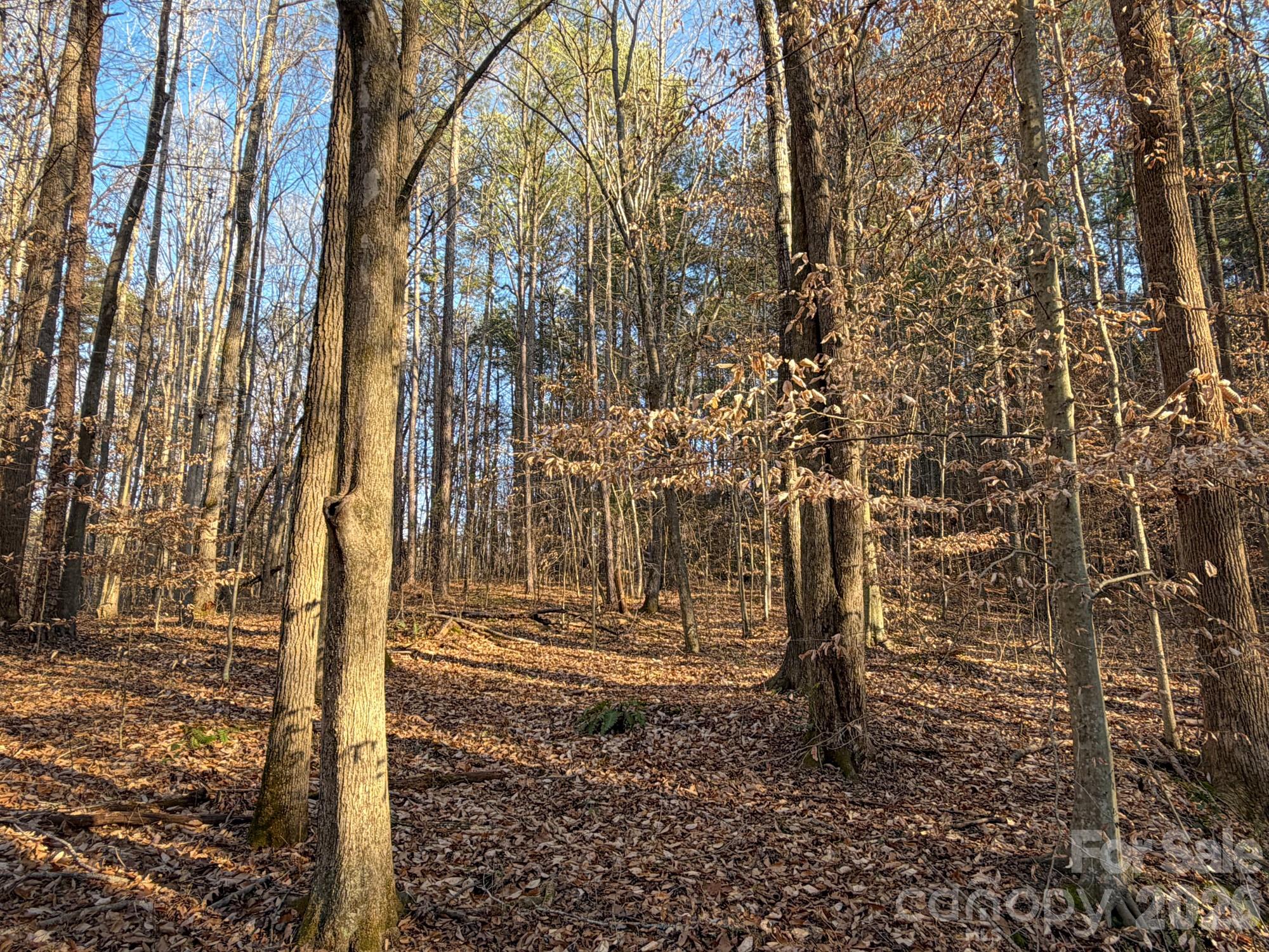 0 Kepley Road Salisbury, NC 28147 - Photo 6 of 18 a view of a building with large trees