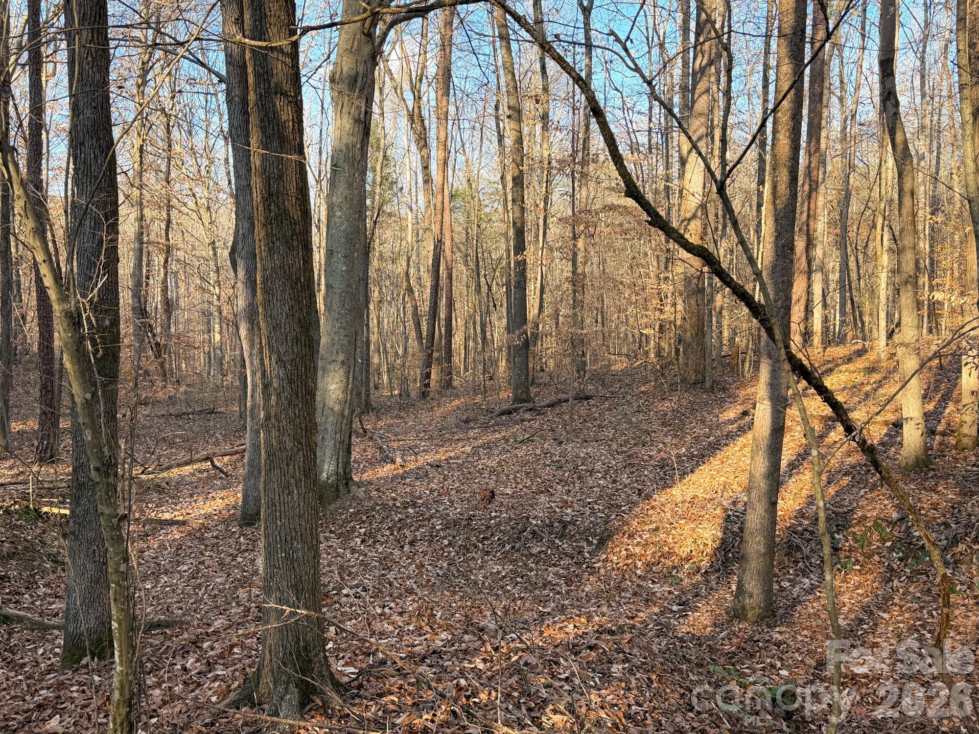 0 Kepley Road Salisbury, NC 28147 - Photo 8 of 18 a backyard of a house with lots of green space