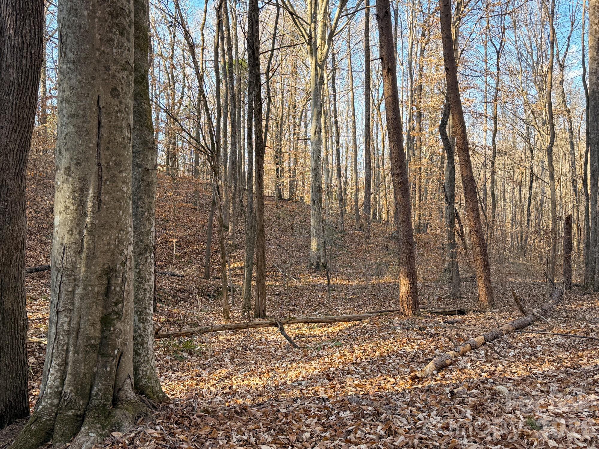 0 Kepley Road Salisbury, NC 28147 - Photo 9 of 18 a backyard of a house with lots of green space
