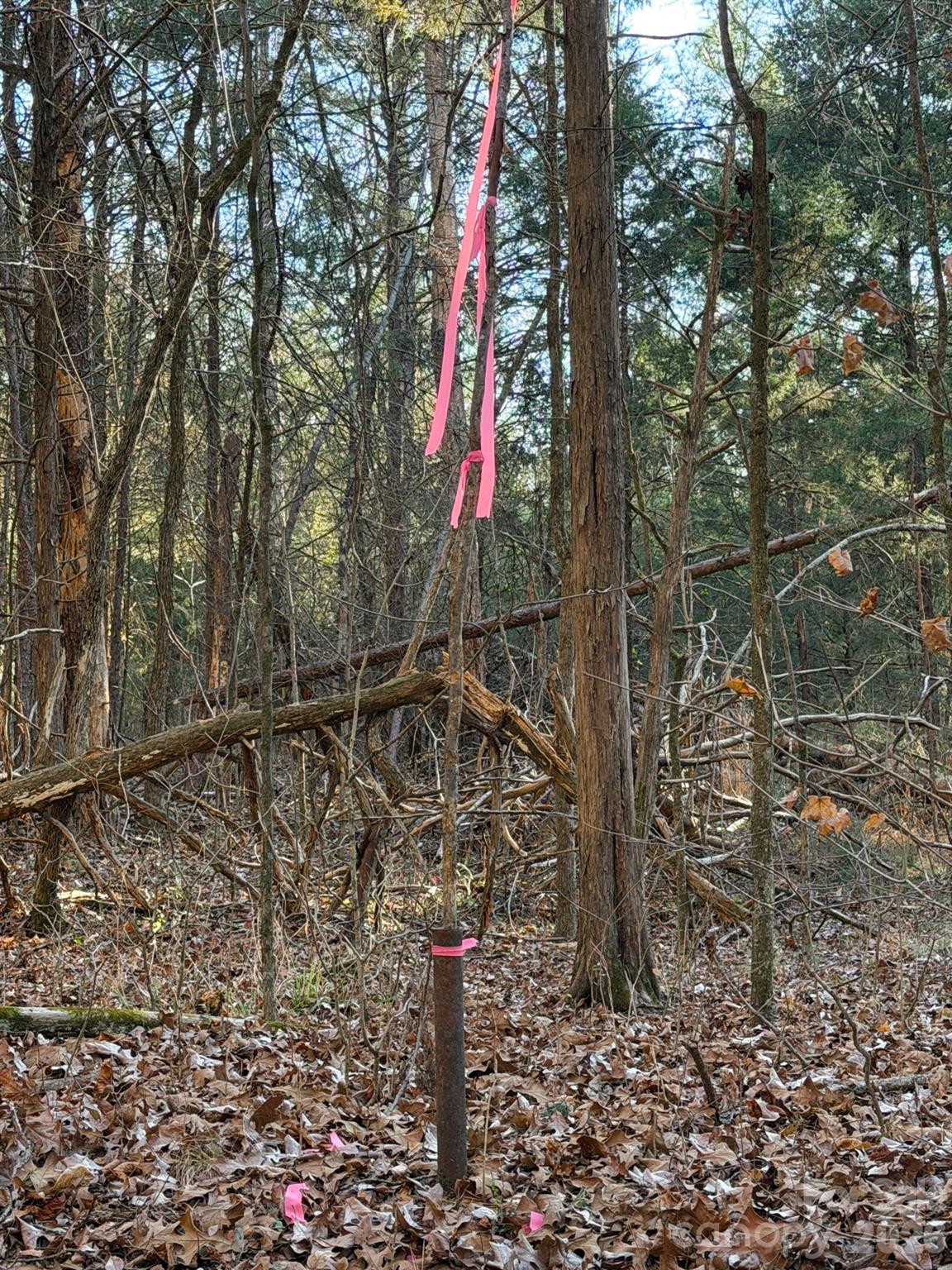 0 Kepley Road Salisbury, NC 28147 - Photo 10 of 18 a flag is sitting in the middle of a forest