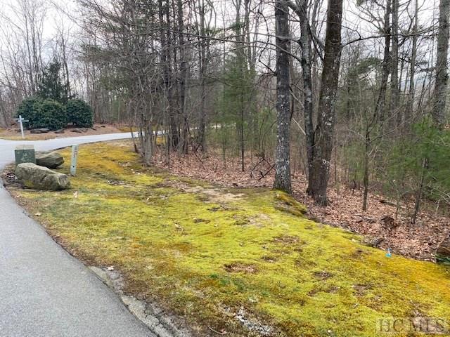 Lot 20 East Ridge Road Cashiers, NC 28717 - Photo 5 of 7 Gallery Image 5
