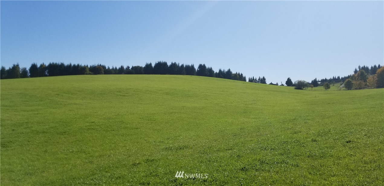 0 Cousins Road Chehalis, WA 98532 - Photo 1 of 11