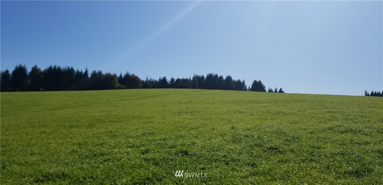 0 Cousins Road Chehalis, WA 98532 - Photo 3 of 11