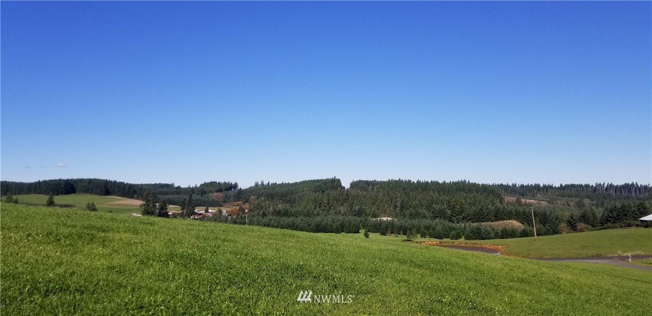 0 Cousins Road Chehalis, WA 98532 - Photo 4 of 11