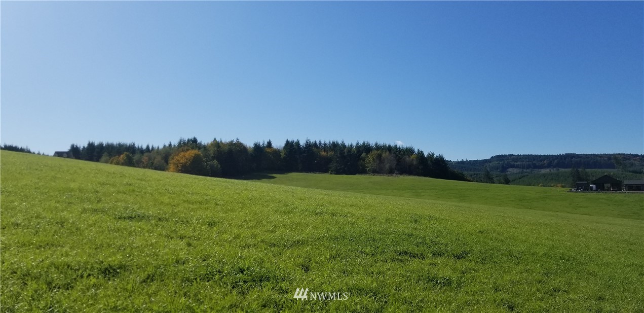 0 Cousins Road Chehalis, WA 98532 - Photo 5 of 11