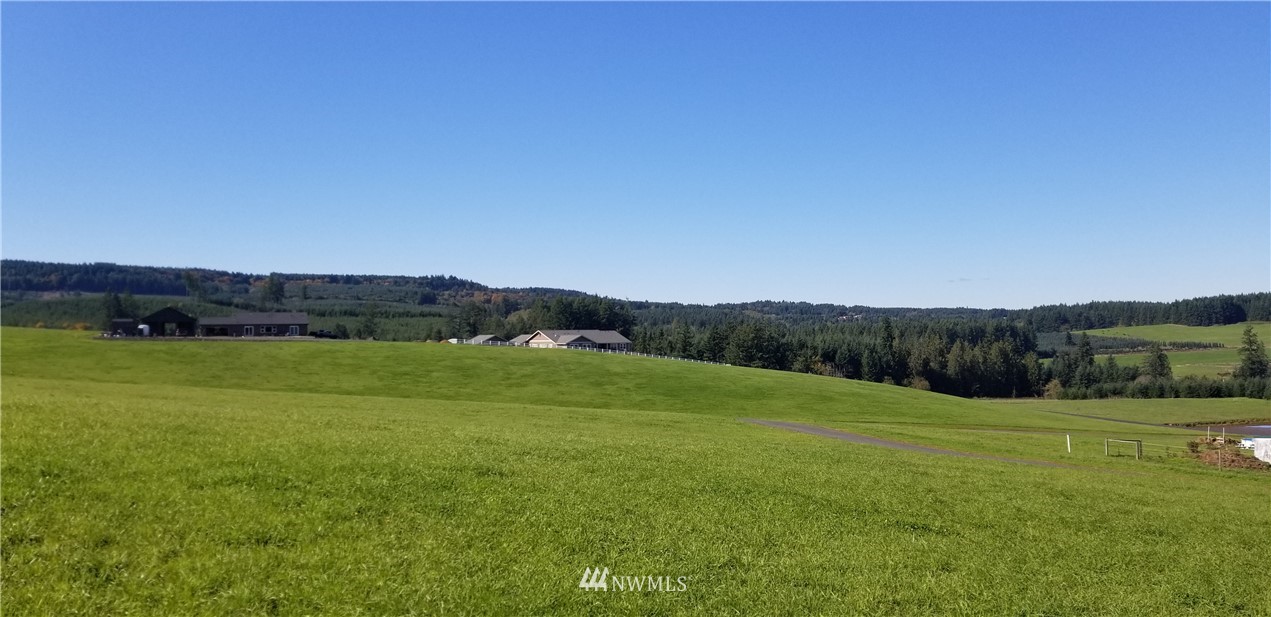0 Cousins Road Chehalis, WA 98532 - Photo 6 of 11
