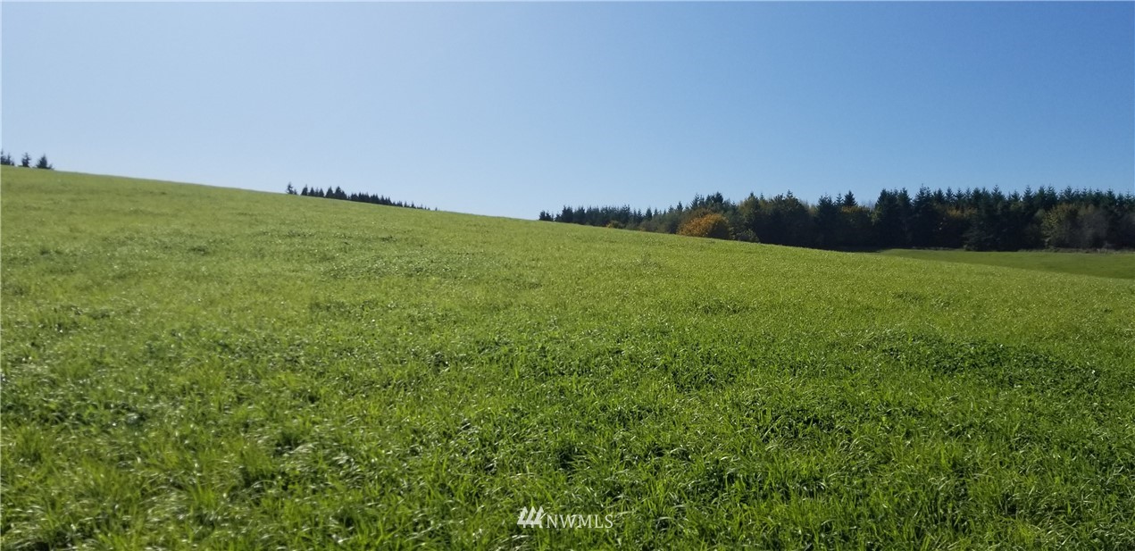 0 Cousins Road Chehalis, WA 98532 - Photo 7 of 11