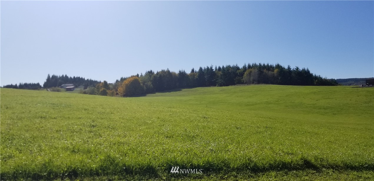 0 Cousins Road Chehalis, WA 98532 - Photo 9 of 11