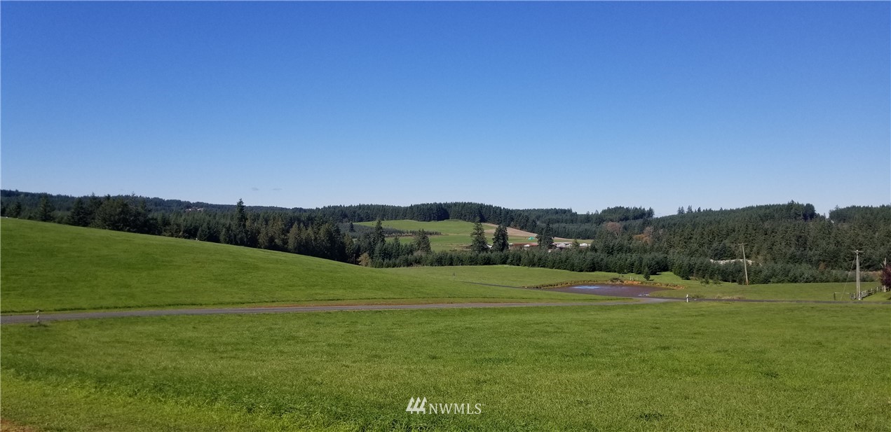0 Cousins Road Chehalis, WA 98532 - Photo 10 of 11