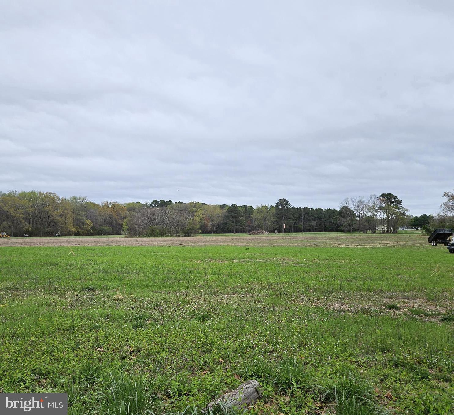 0 Foskey Lane Delmar, MD 21875 - Photo 1 of 1 a view of grassy field with mountain