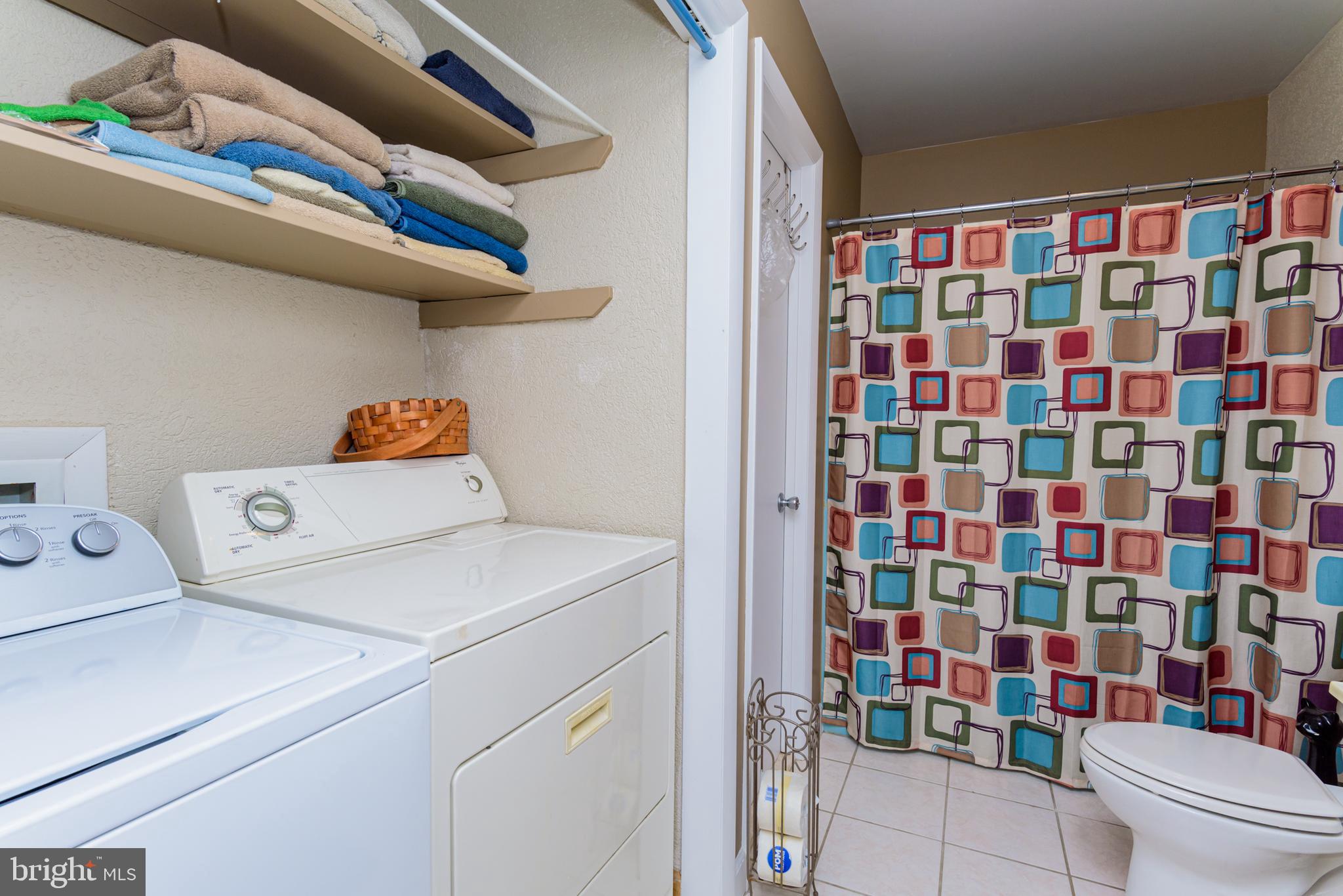 23212 Haines Point Road Chance, MD 21821 - Photo 41 of 57 Bath with laundry
