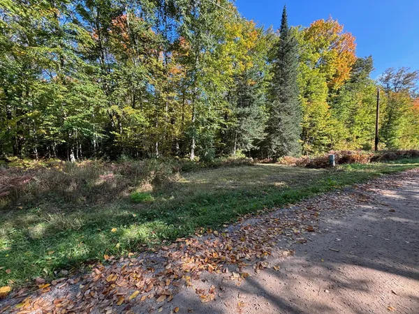 $59,000 | Tbd North Sherrys Arm Road, Grand Rapids, MN 55744