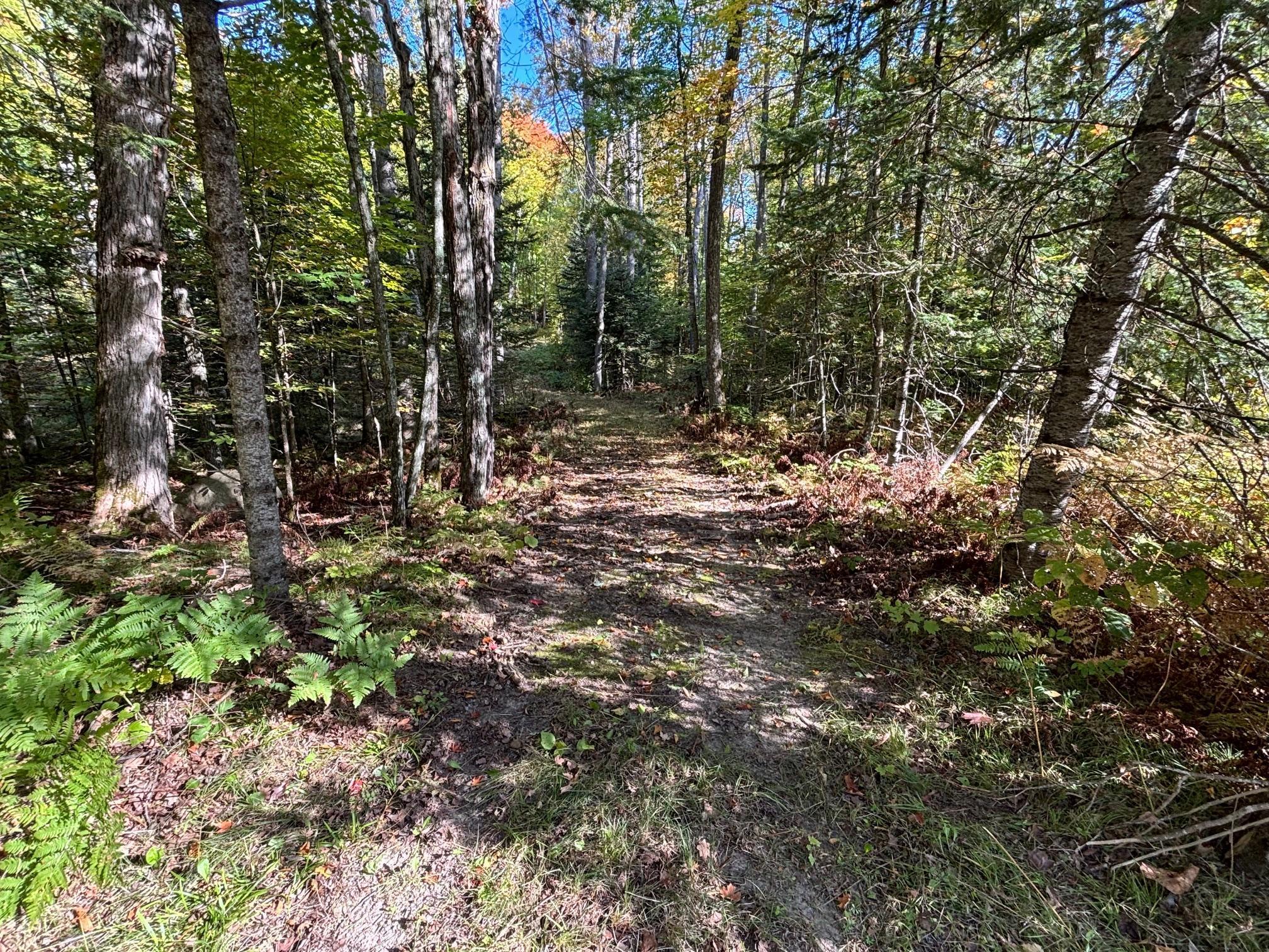 Tbd North Sherrys Arm Road Grand Rapids, MN 55744 - Photo 2 of 7