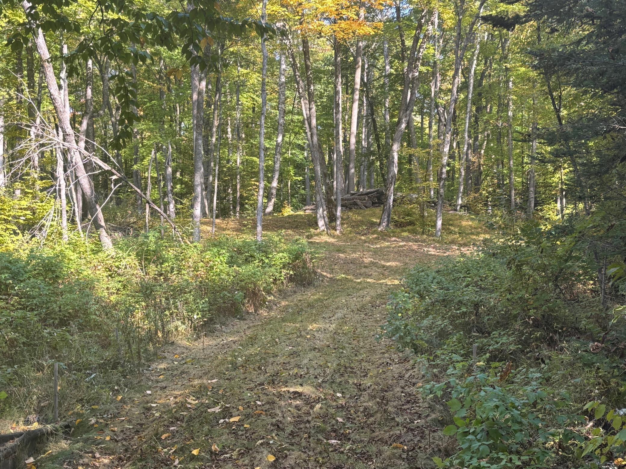 Tbd North Sherrys Arm Road Grand Rapids, MN 55744 - Photo 3 of 7