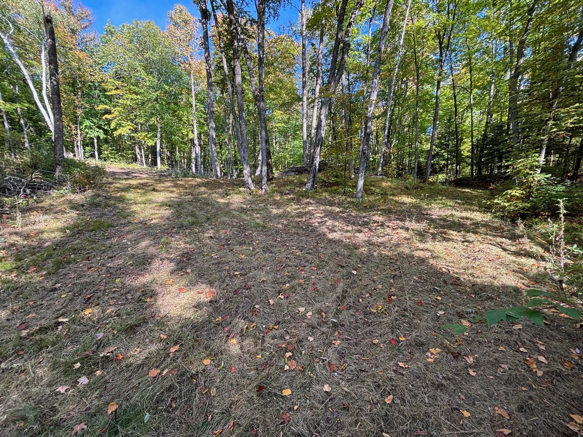 Tbd North Sherrys Arm Road Grand Rapids, MN 55744 - Photo 5 of 7