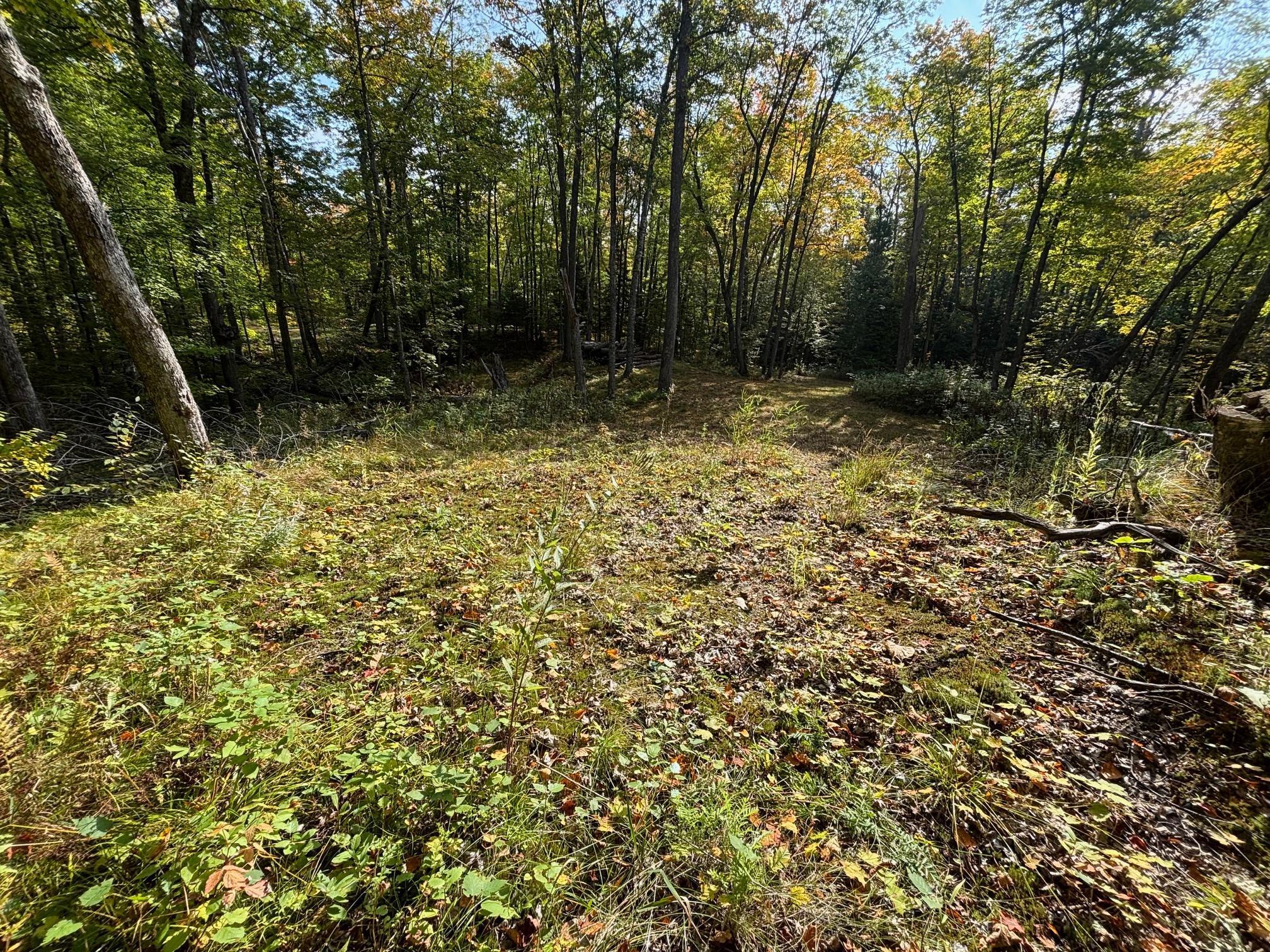 Tbd North Sherrys Arm Road Grand Rapids, MN 55744 - Photo 6 of 7