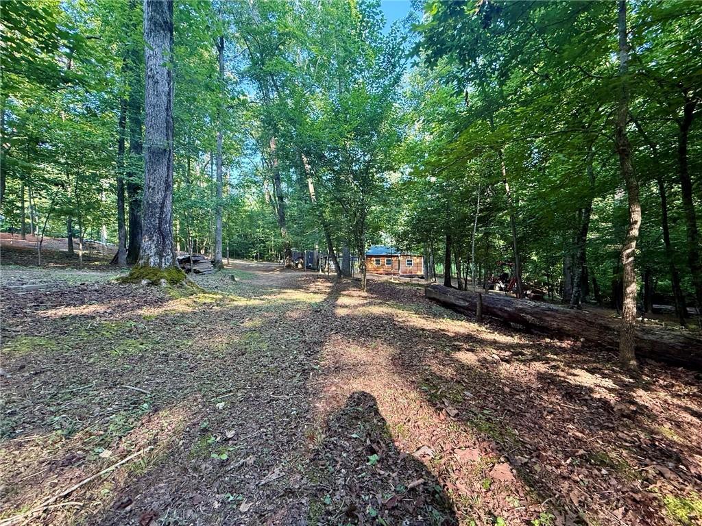 1125 Pecks Road Dahlonega, GA 30533 - Photo 16 of 31