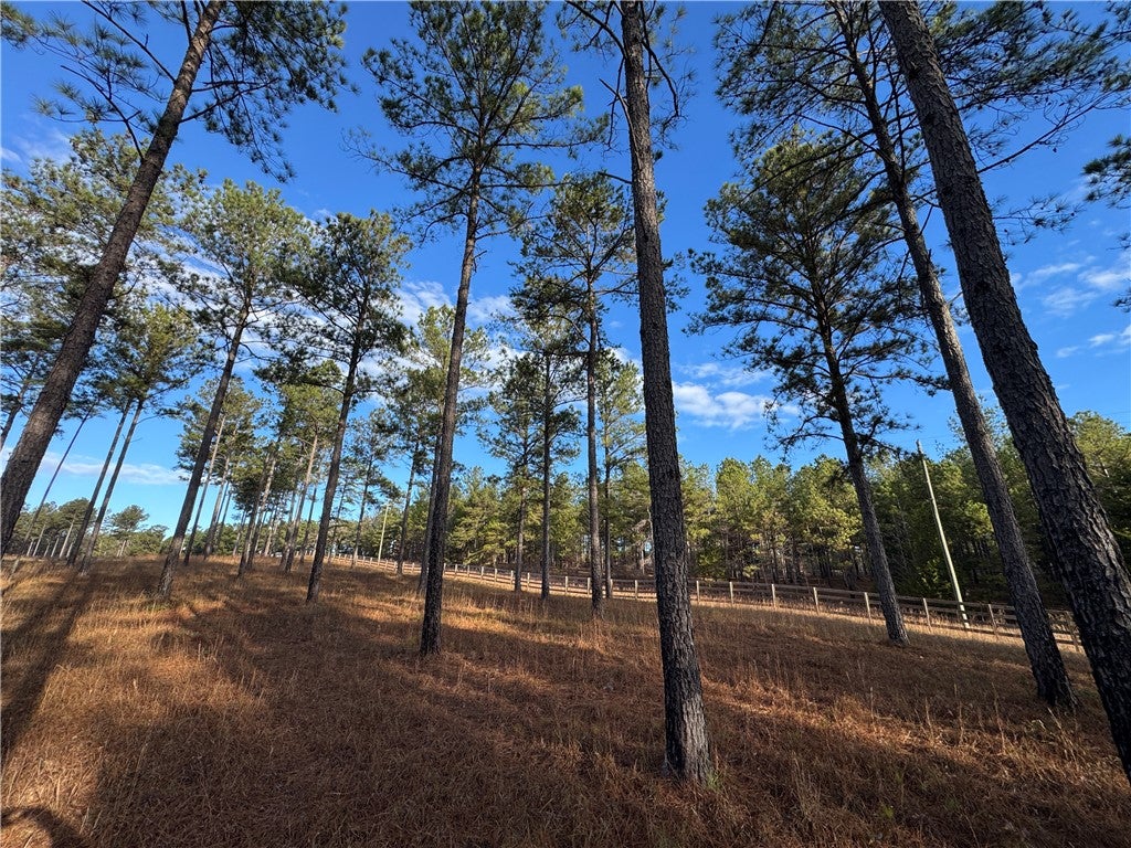 0 Farmville Road Camp Hill, AL 36850 - Photo 13 of 35 Gallery Image 13
