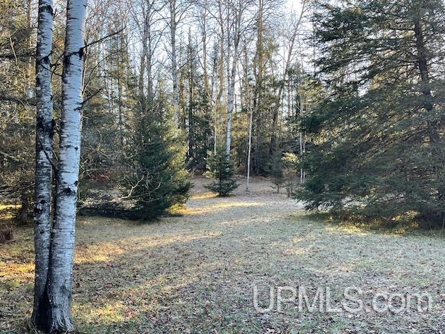 11810 East Howen Road Long Lake, WI 54542 - Photo 1 of 21