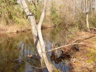 780 Rays Bridge Road Whispering Pines, NC 28327 - Photo 24 of 25 Additional Photo