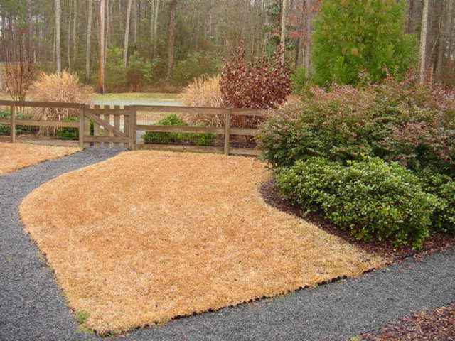 780 Rays Bridge Road Whispering Pines, NC 28327 - Photo 3 of 25 Additional Photo