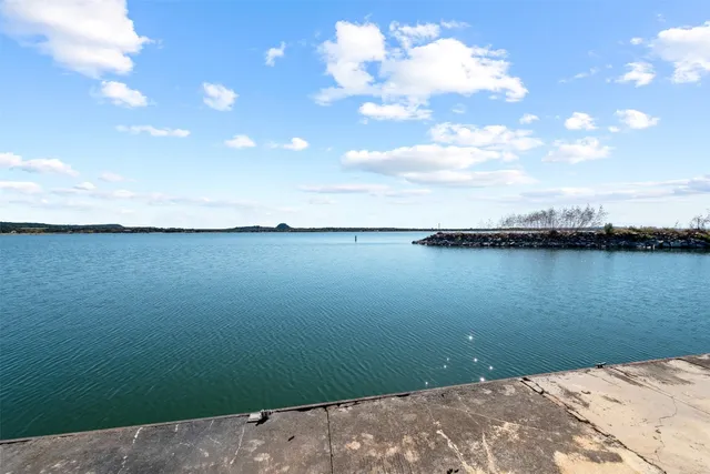 a view of a yard with plants and large trees