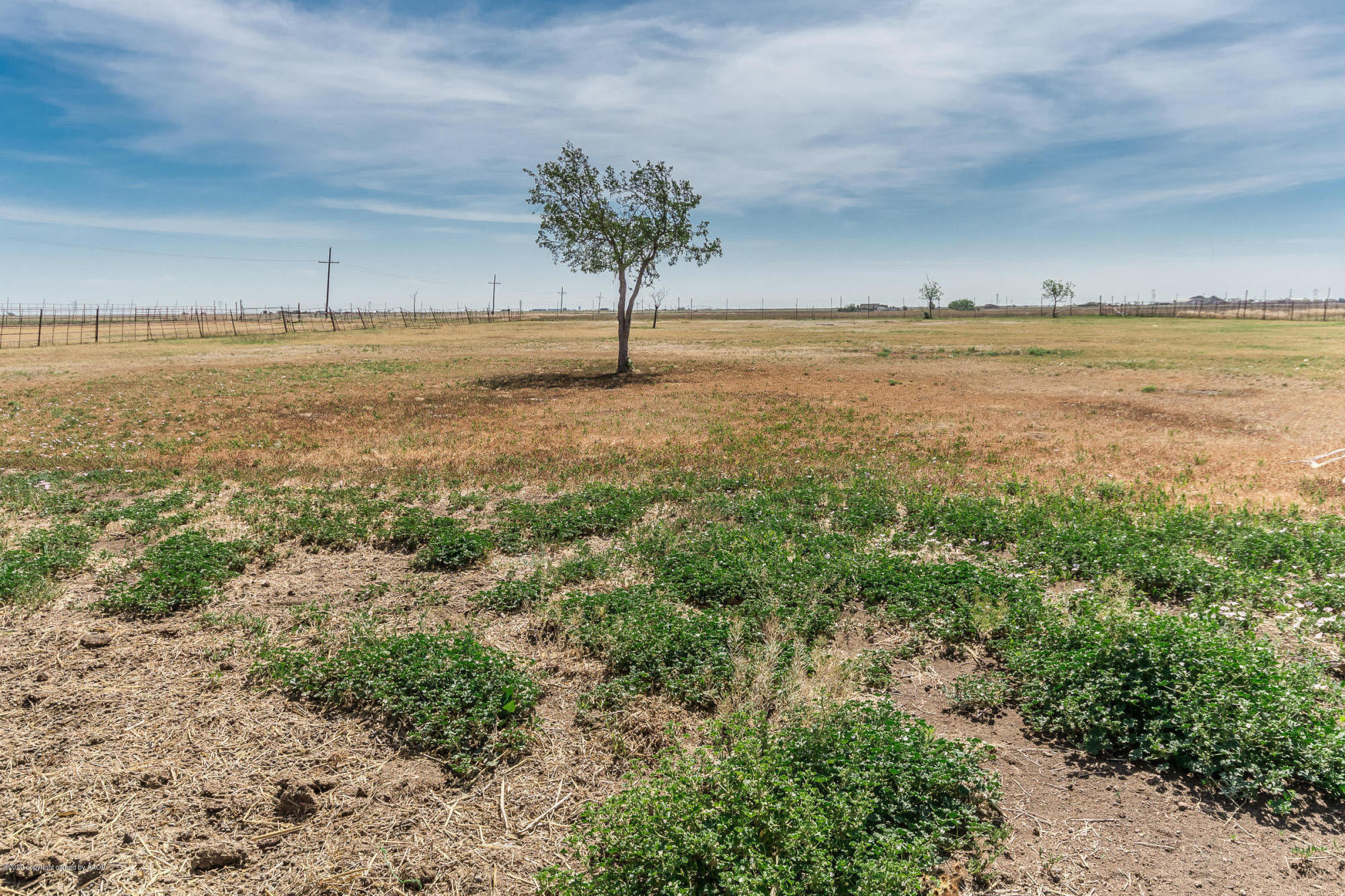7501 Bushland Road Amarillo, TX 79119 - Photo 32 of 40 Back Land