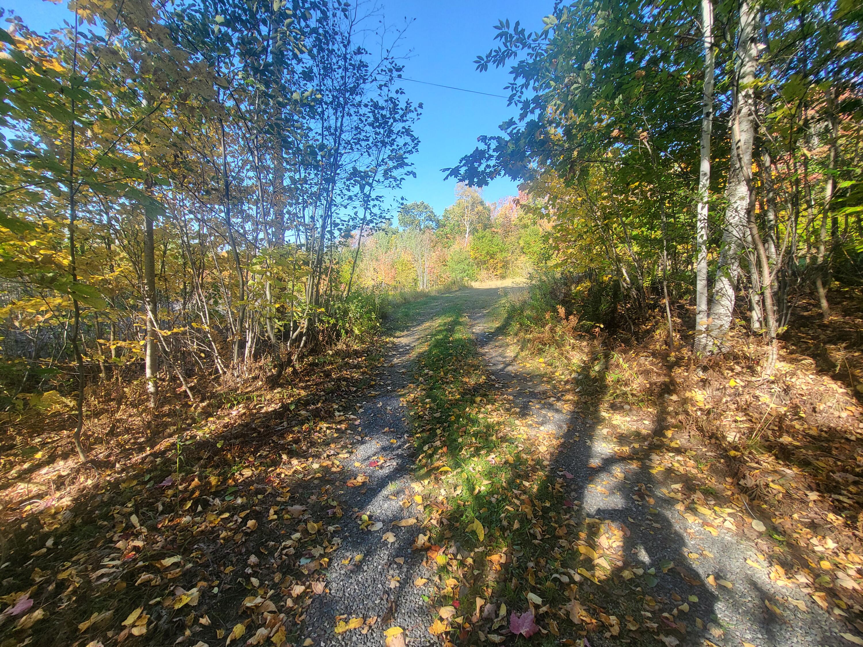 85 Griffin Mountain Road New Vineyard, ME 04956 - Photo 44 of 52 20250929_152741