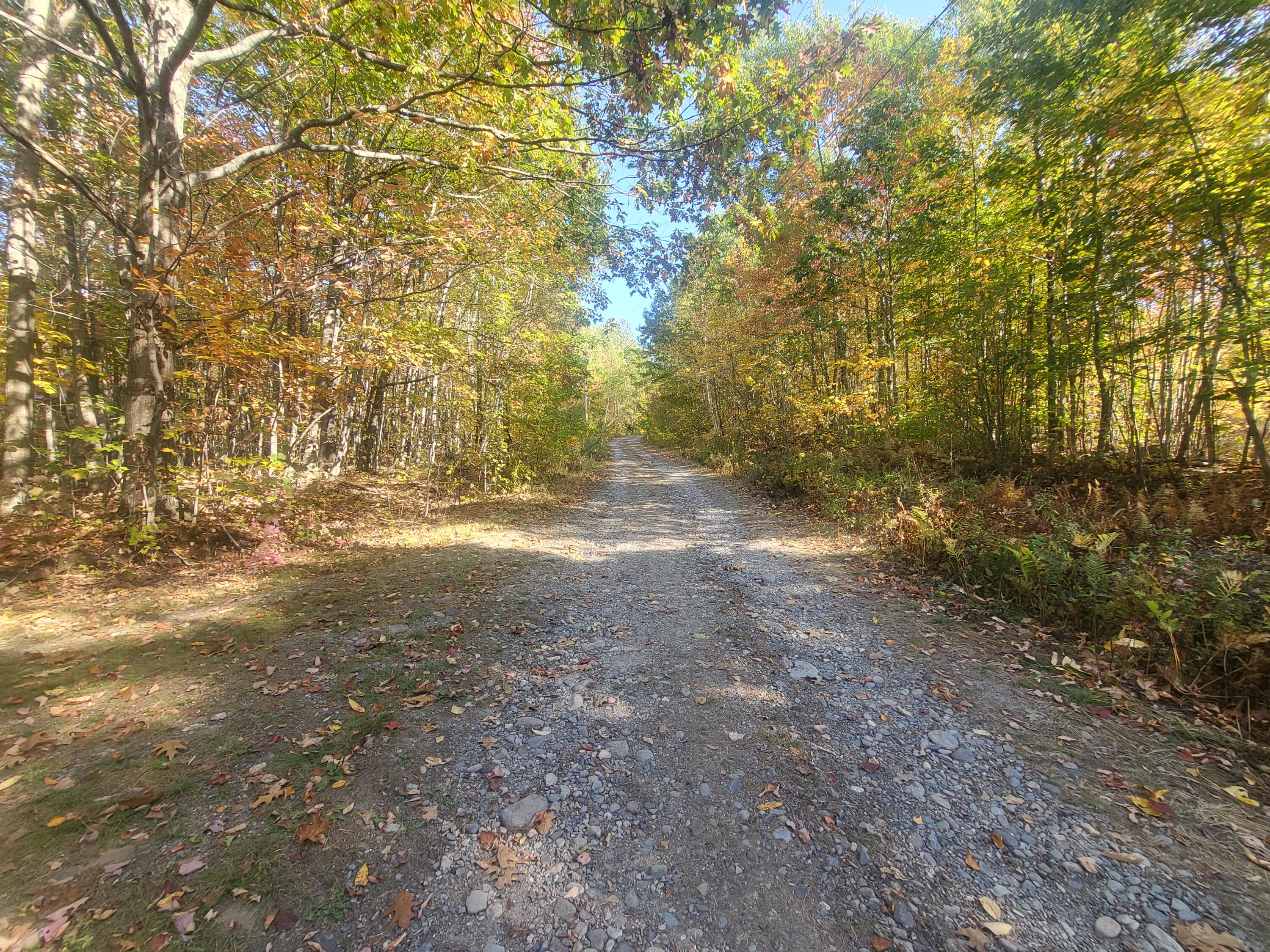 85 Griffin Mountain Road New Vineyard, ME 04956 - Photo 46 of 52 20250929_152846