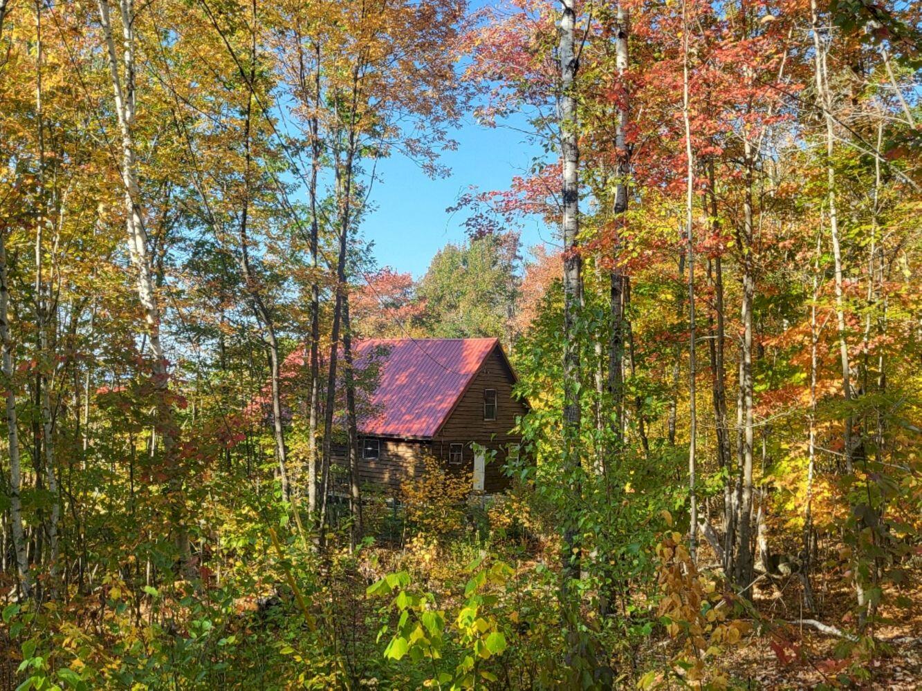 85 Griffin Mountain Road New Vineyard, ME 04956 - Photo 8 of 52 20250929_153029_resized_result