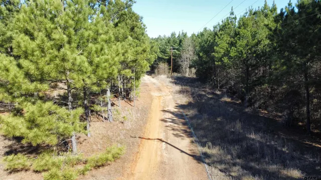 a view of a yard with plants and trees
