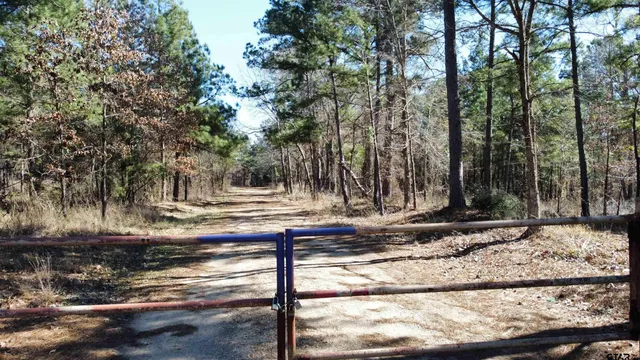 a view of a yard covered with snow in front of house