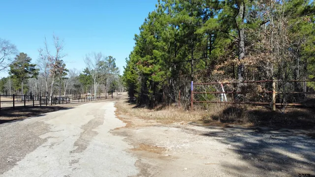 a view of a yard with trees