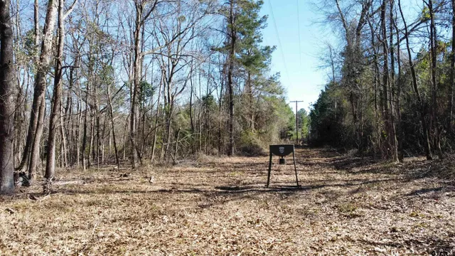 a view of a yard with trees