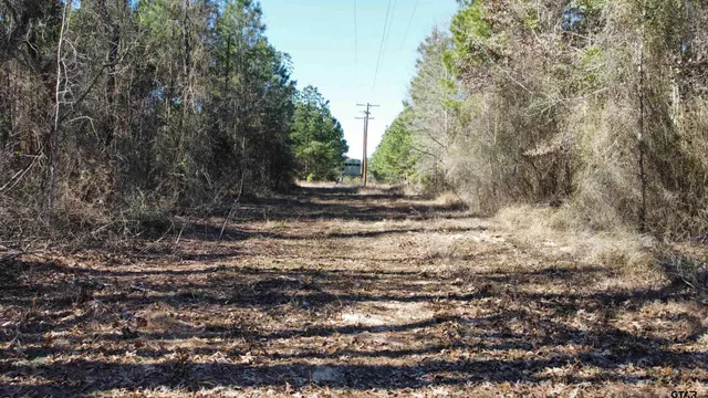 a view of backyard with outdoor and green space