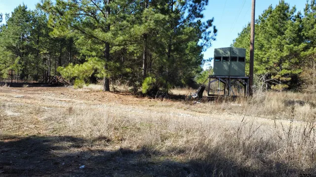 a view of a yard with trees