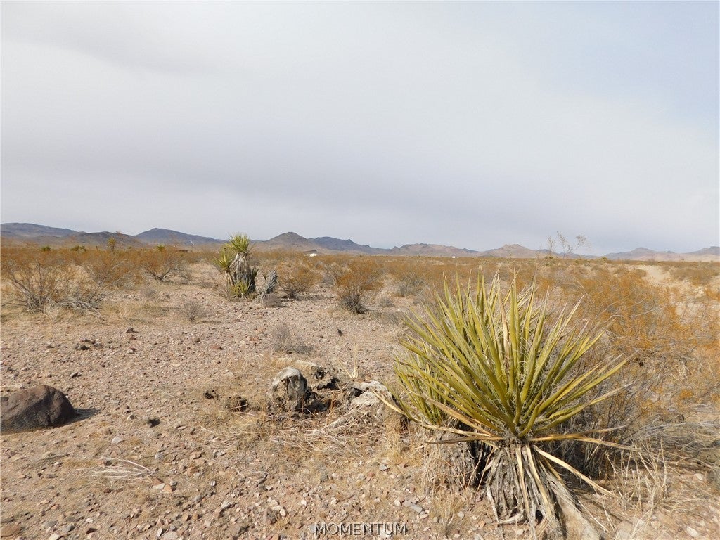 166 169 North Dragoon Road Golden Valley, AZ 86413 - Photo 12 of 21 Gallery Image 12