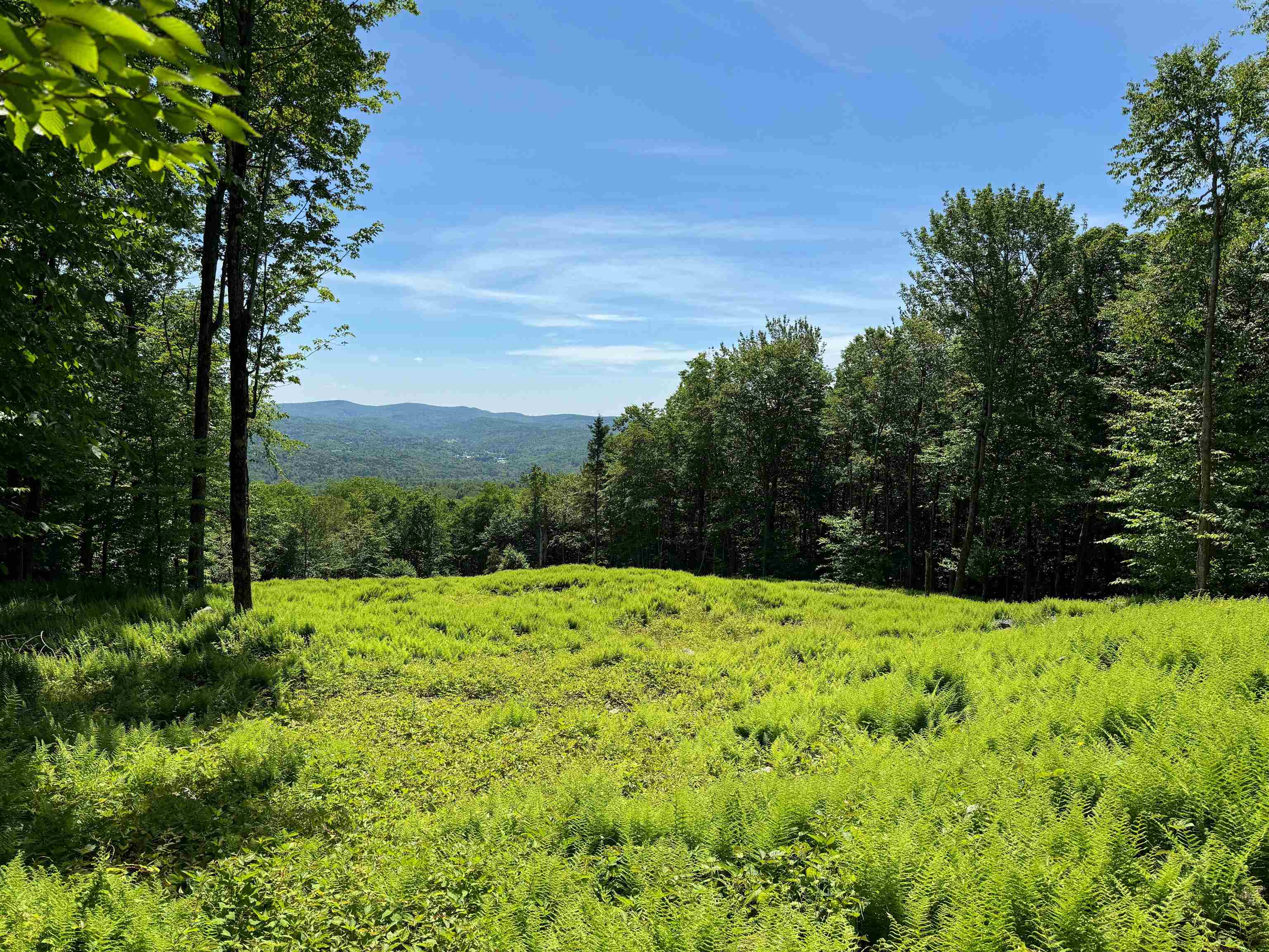 0 Spruce Grove Road Wilmington, VT 05363 - Photo 6 of 13 Gallery Image 6