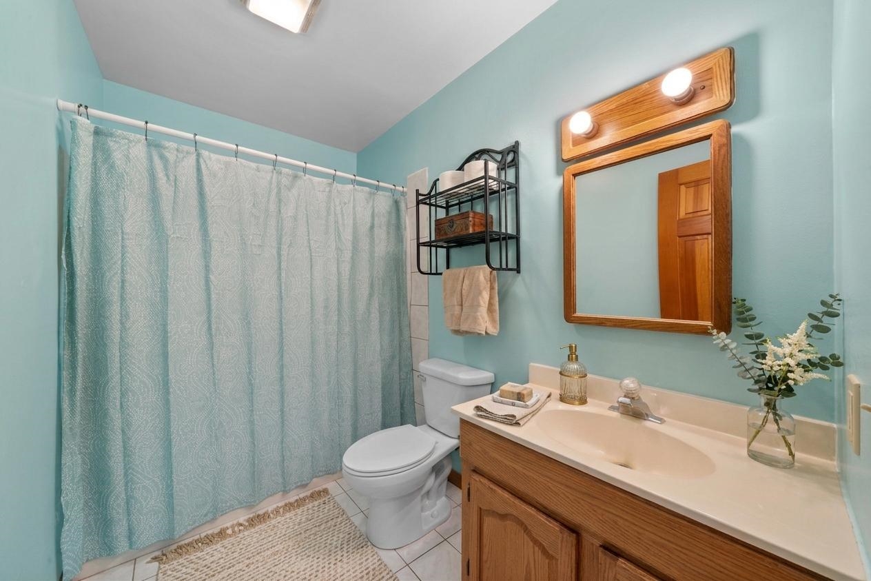 924 Suzy Street Sandwich, IL 60548 - Photo 15 of 48 a bathroom with a sink a toilet and shower