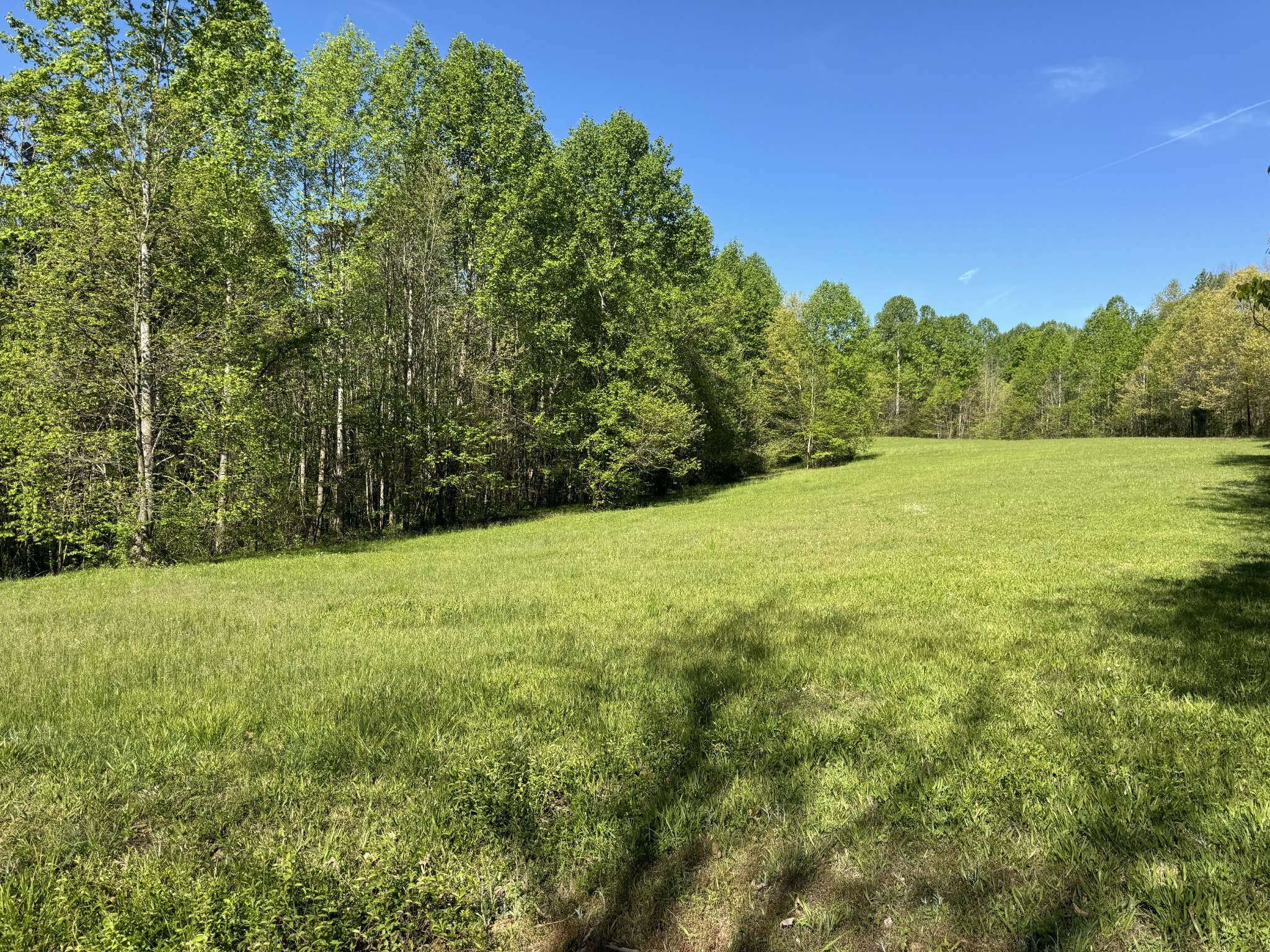 0 Green Valley Road Lafayette, TN 37083 - Photo 12 of 30 a view of an outdoor space and a yard
