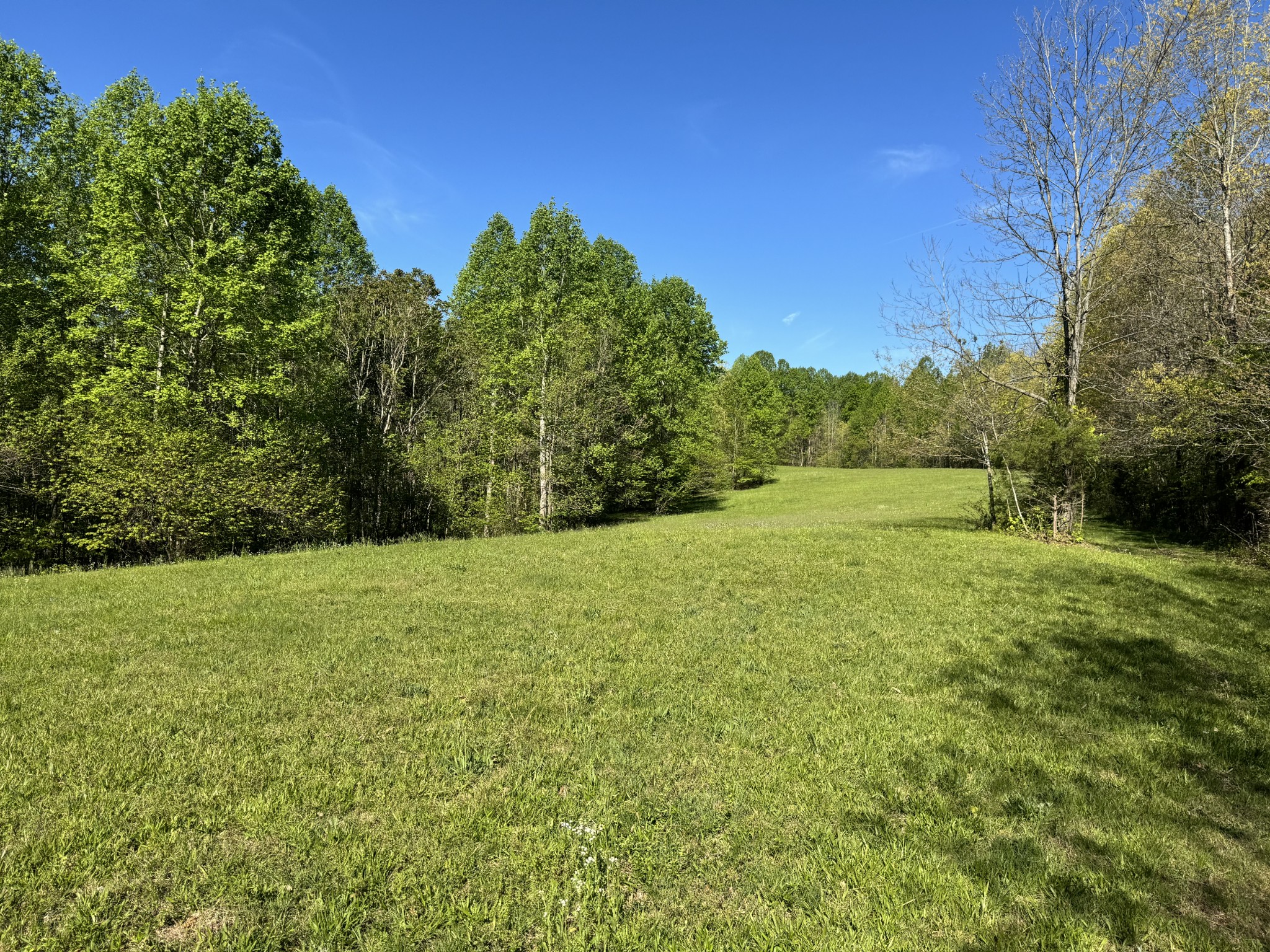 0 Green Valley Road Lafayette, TN 37083 - Photo 14 of 30 a view of outdoor space and yard