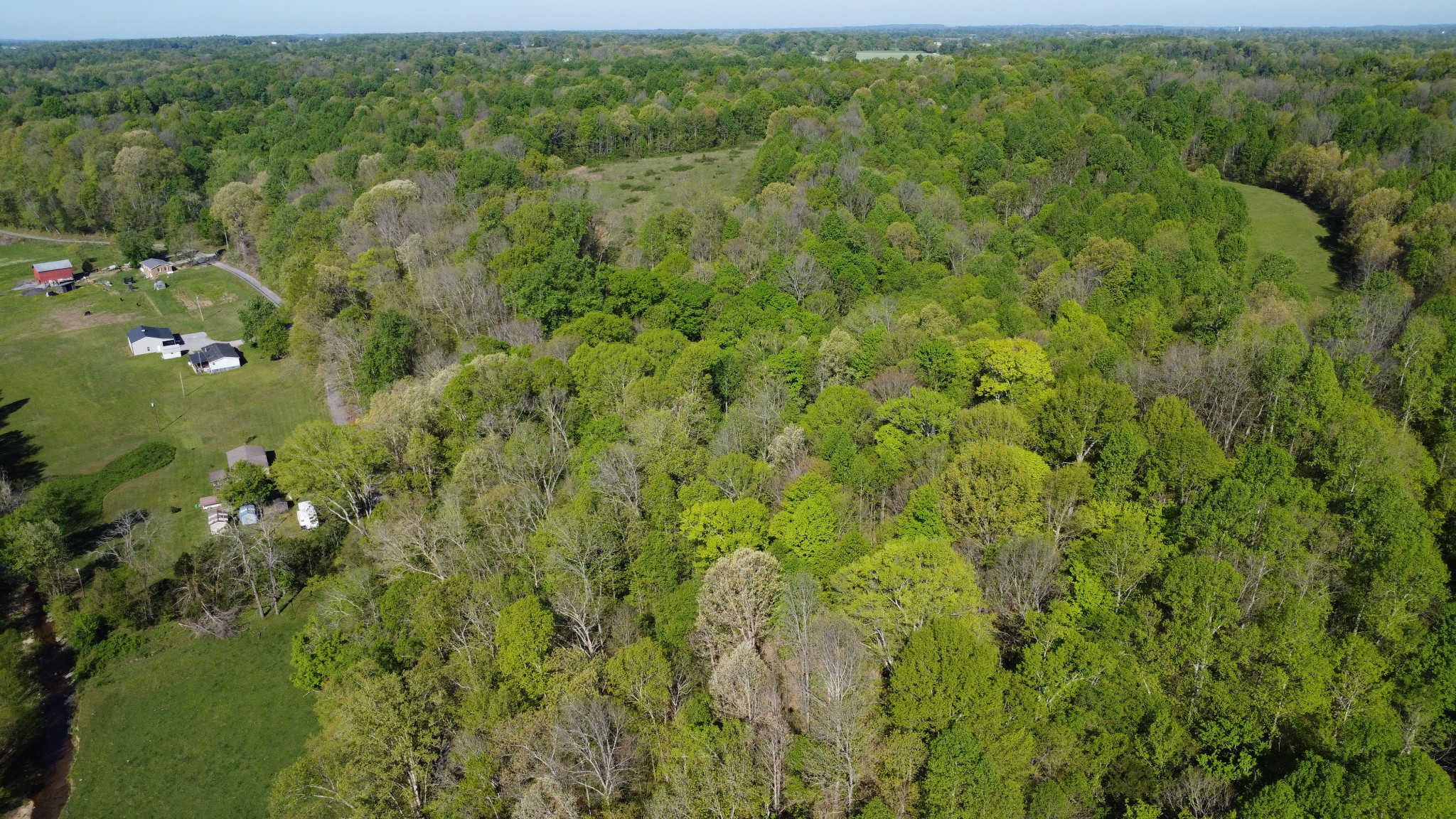0 Green Valley Road Lafayette, TN 37083 - Photo 15 of 30 a view of a lush green forest with houses