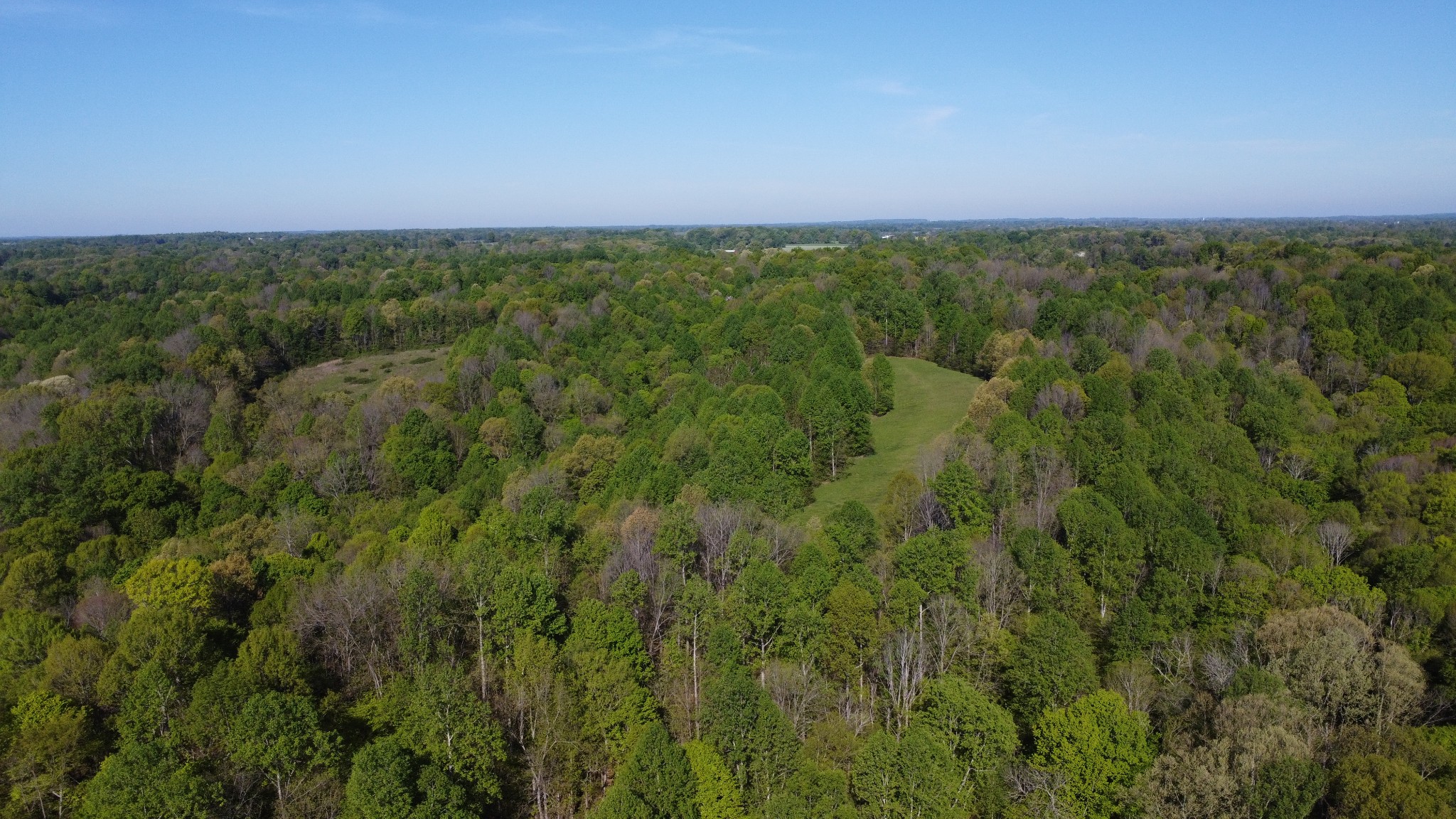 0 Green Valley Road Lafayette, TN 37083 - Photo 16 of 30 a view of a big yard with lots of green space