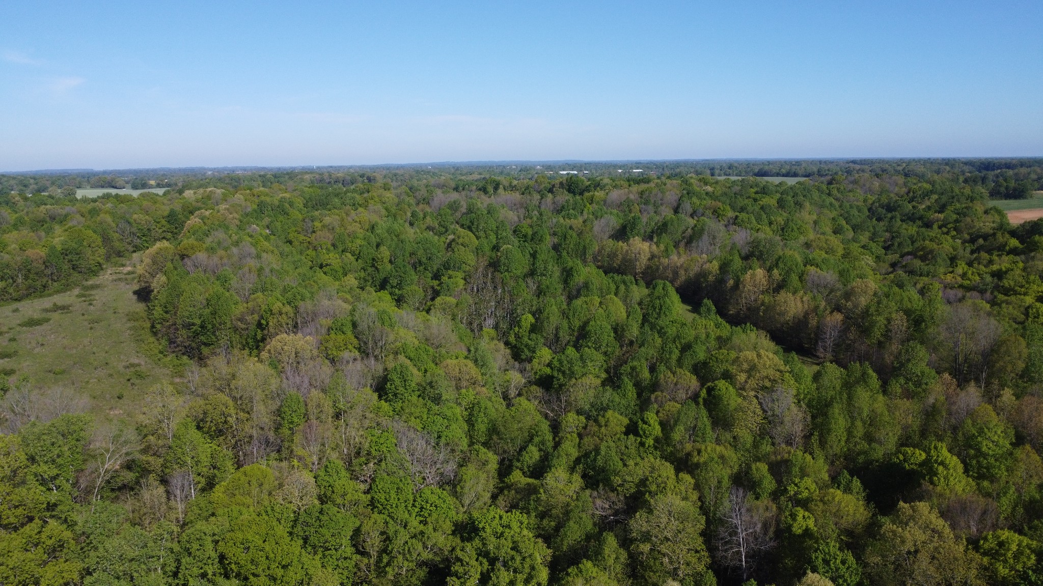 0 Green Valley Road Lafayette, TN 37083 - Photo 19 of 30 a view of a city with lush green forest