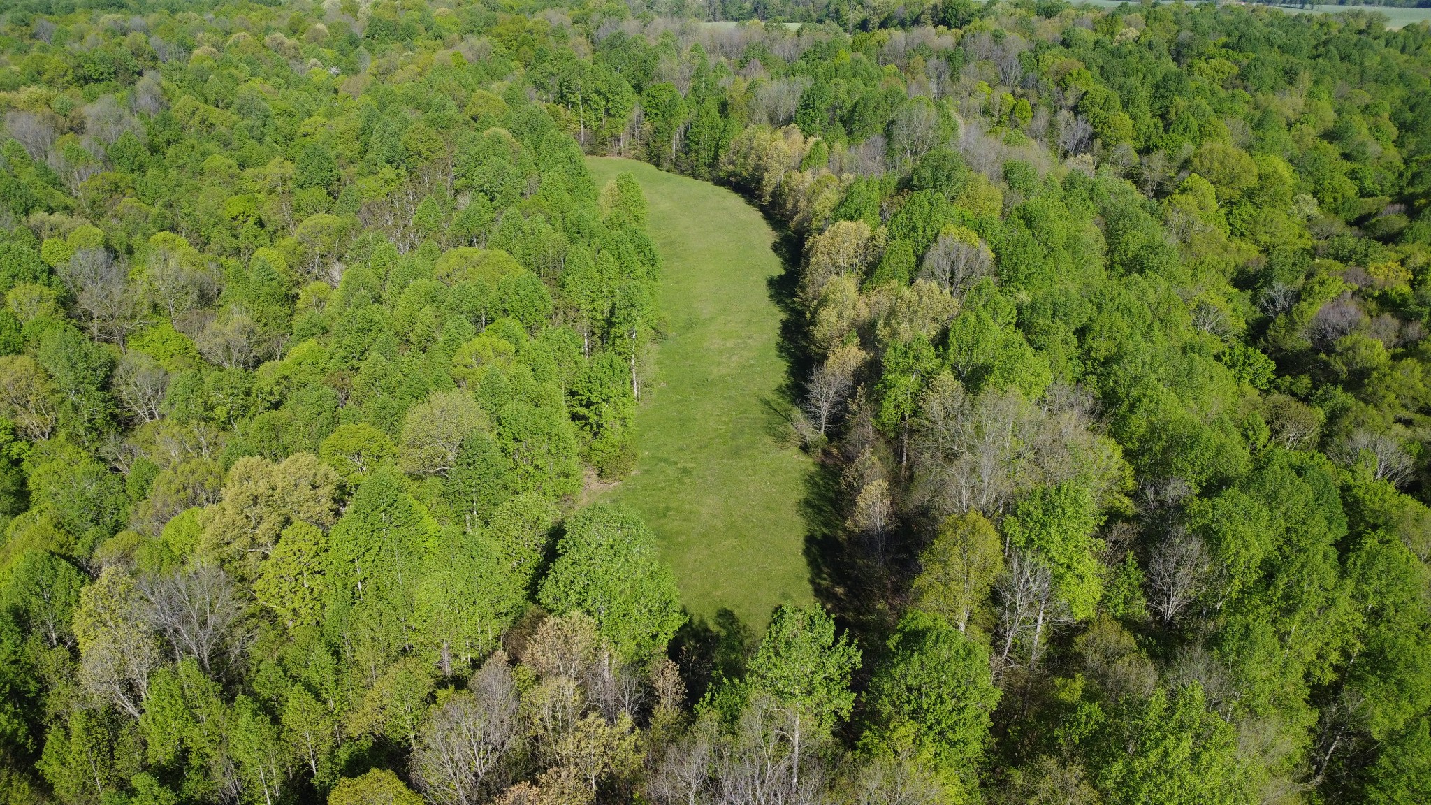 0 Green Valley Road Lafayette, TN 37083 - Photo 2 of 30 a view of a lush green forest