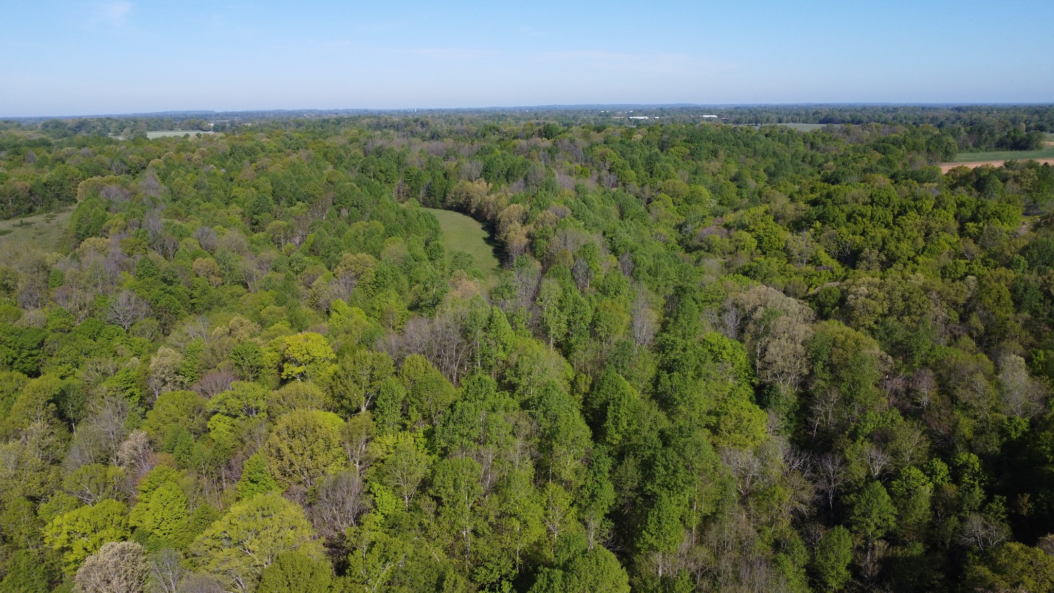 0 Green Valley Road Lafayette, TN 37083 - Photo 23 of 30 a view of a green field with lots of bushes