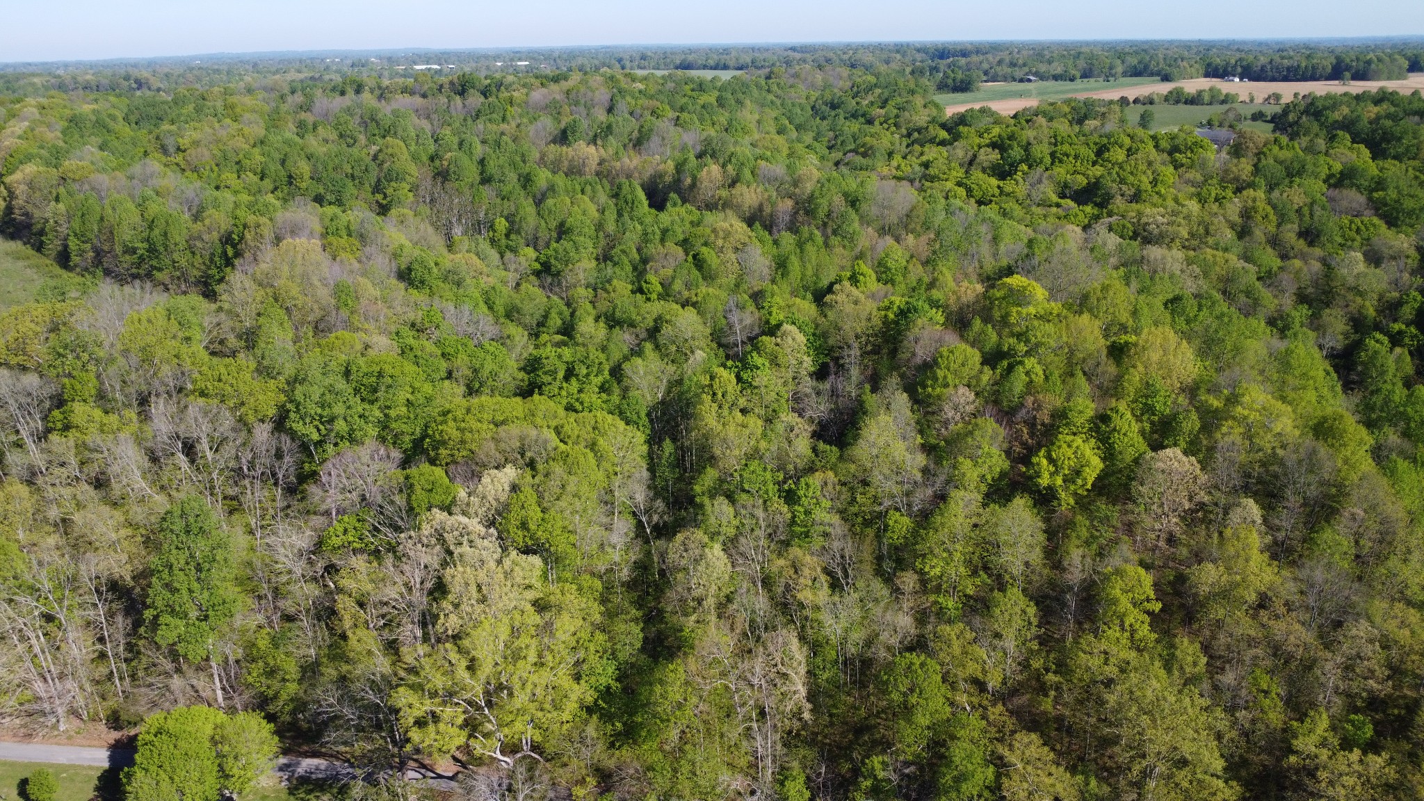 0 Green Valley Road Lafayette, TN 37083 - Photo 25 of 30 a view of a forest with a street