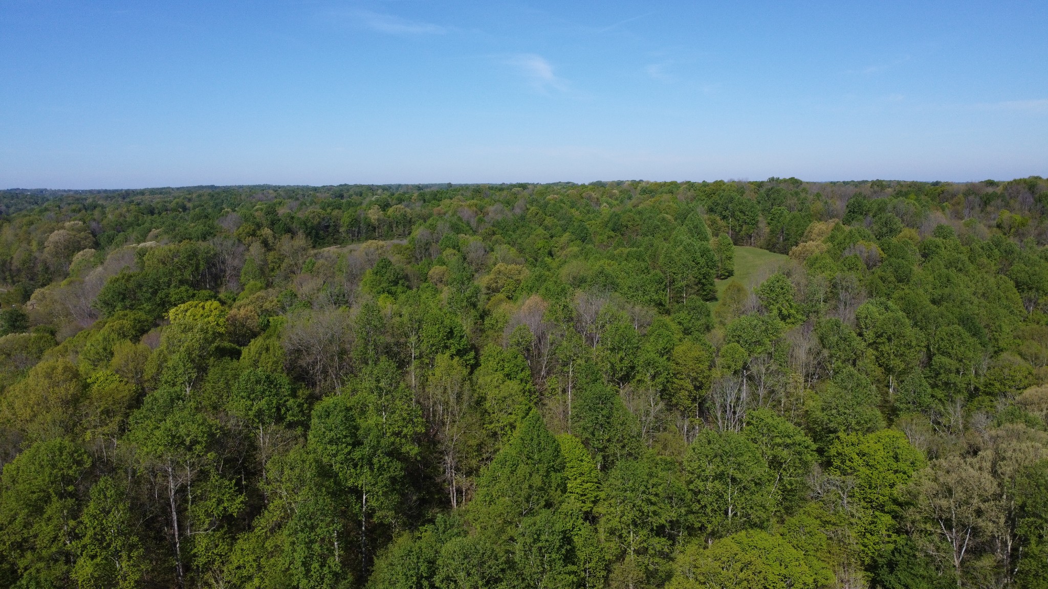 0 Green Valley Road Lafayette, TN 37083 - Photo 27 of 30 a view of a field