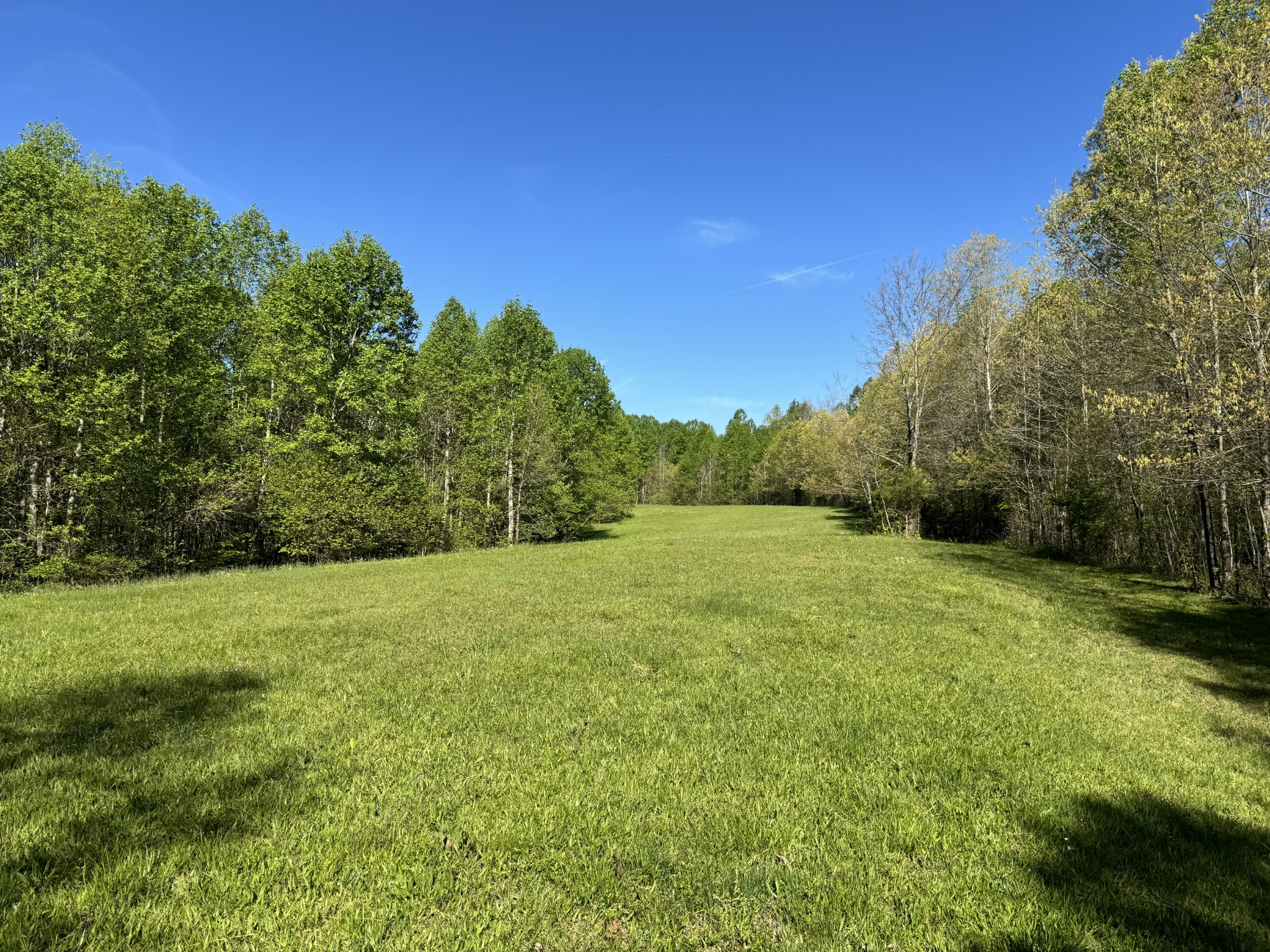 0 Green Valley Road Lafayette, TN 37083 - Photo 3 of 30 a view of a big yard with a large tree