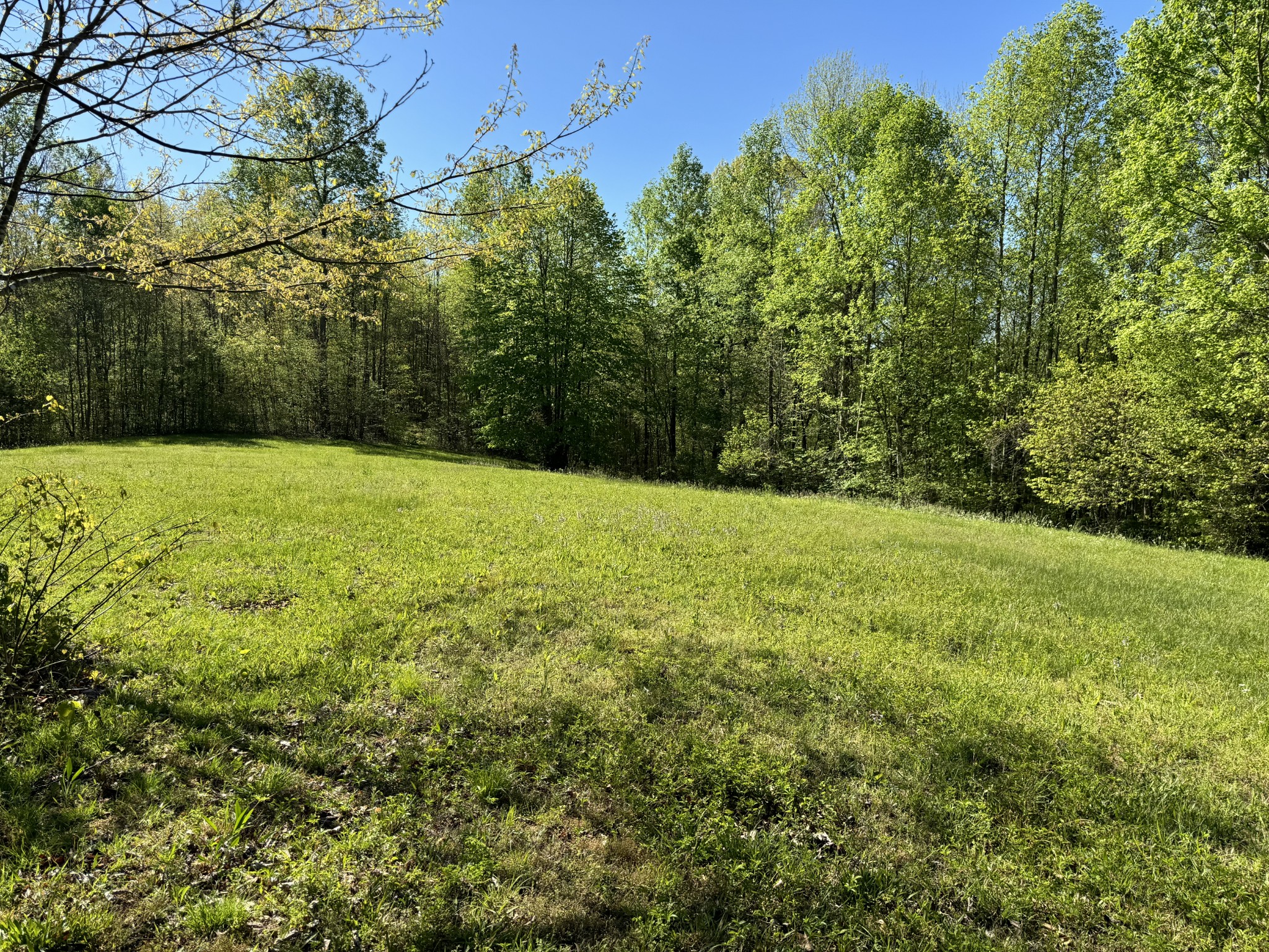 0 Green Valley Road Lafayette, TN 37083 - Photo 8 of 30 a view of an outdoor space and a yard